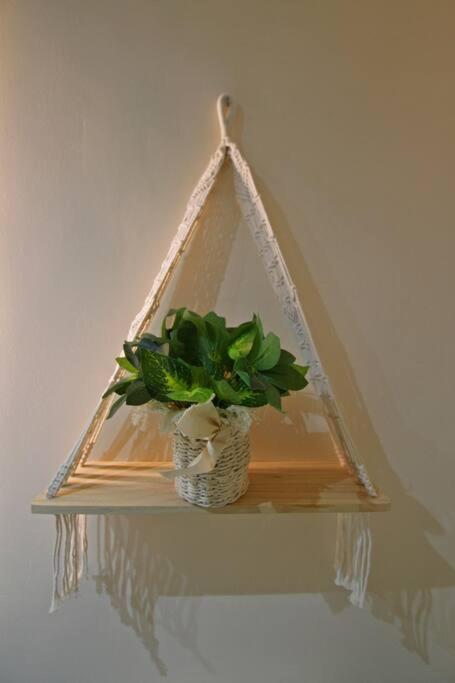 Apartment Jungle Loft With Confort And Luxury *